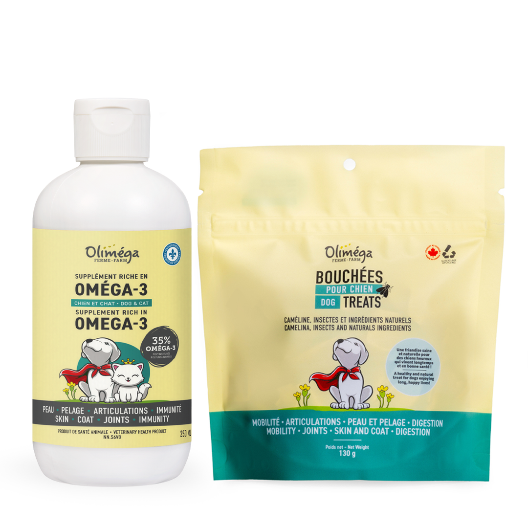 Ensemble pour petits chiens