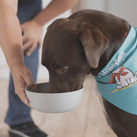 Supplément chiens et chats riche en oméga-3