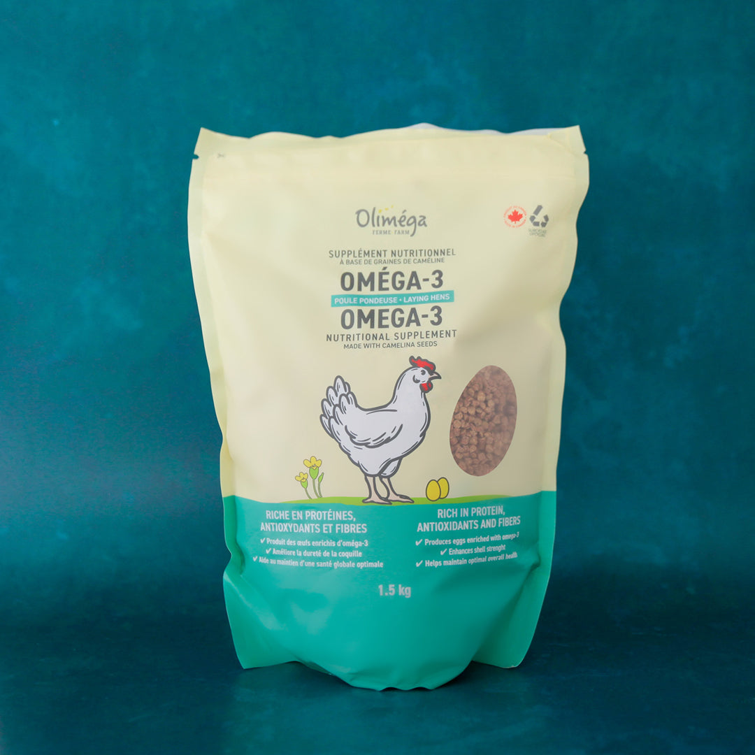 Protéine de caméline pour poules pondeuses et coq à chair